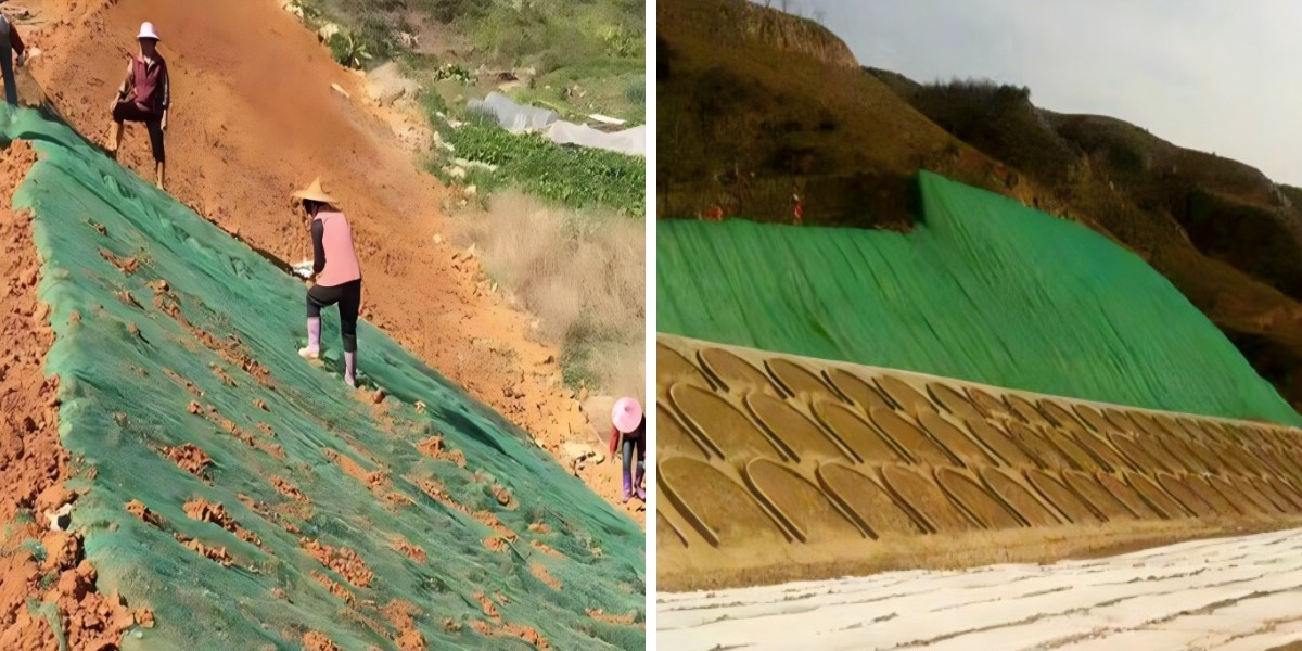 土地再生プロジェクト向けジオマット：土壌を安定させ、植生回復を促進