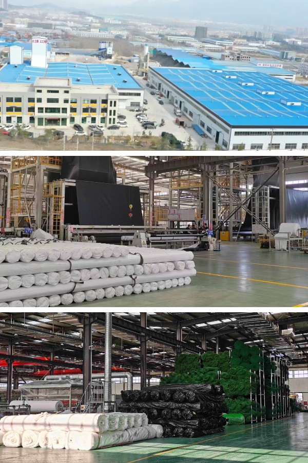 Géomats durables : des matériaux écologiques qui façonnent l’avenir de la lutte contre l’érosion