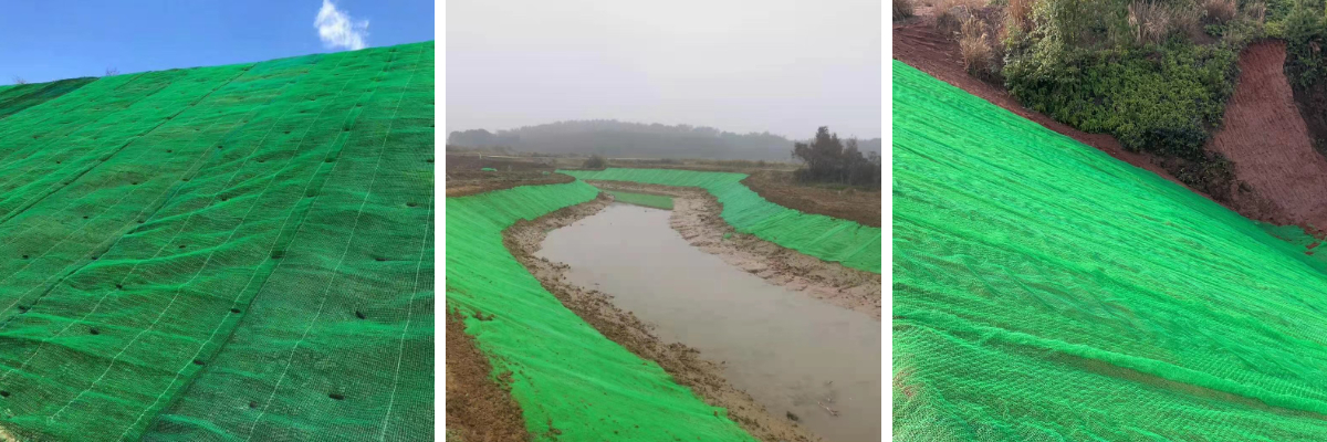 Характеристики 3D-сетки для растительности: полное руководство для начинающих