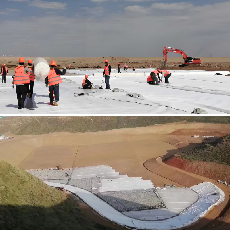 المنسوجات الأرضية في الزراعة: حلول لمكافحة الأعشاب وحماية التربة المنسوجات الأرضية في الزراعة: حلول لمكافحة الأعشاب وحماية التربة