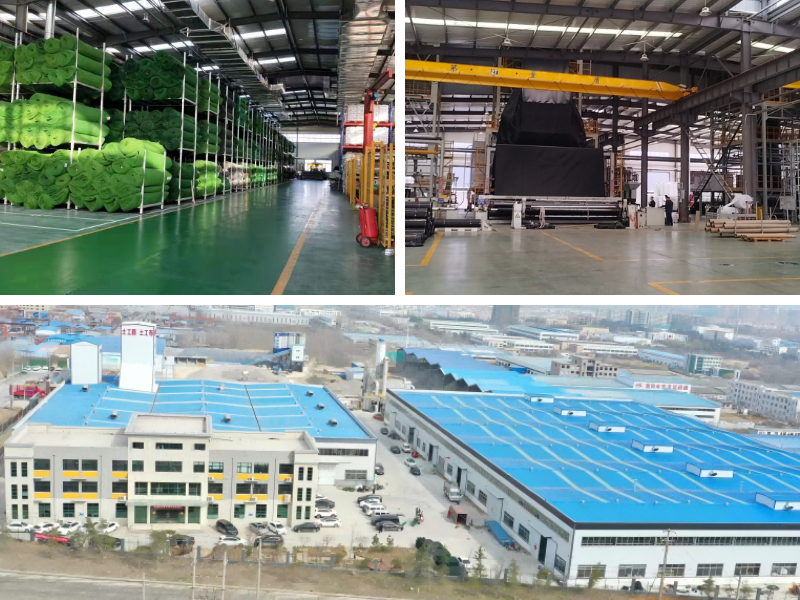 ما هي مدة صلاحية جيومات؟ العوامل المؤثرة على عمرها الافتراضي