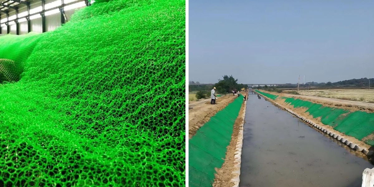 الجيومات والنباتات: إنشاء منحدرات خضراء مستدامة