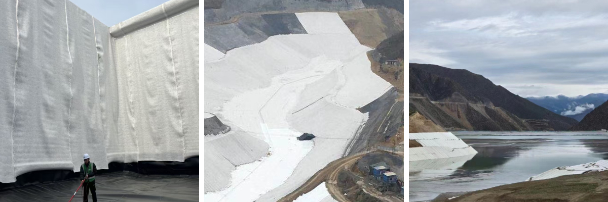 Tissu géo pour allée