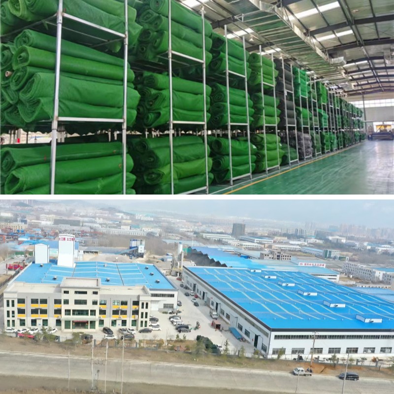 استخدام الجيومات لإدارة مياه الأمطار والتحكم في الجريان السطحي