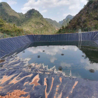 نسيج الغشاء الجيوممبرين