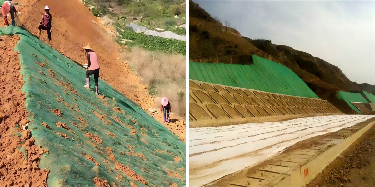 Eco-Friendly Erosion Control: Using Biodegradable 3D Vegetation Nets