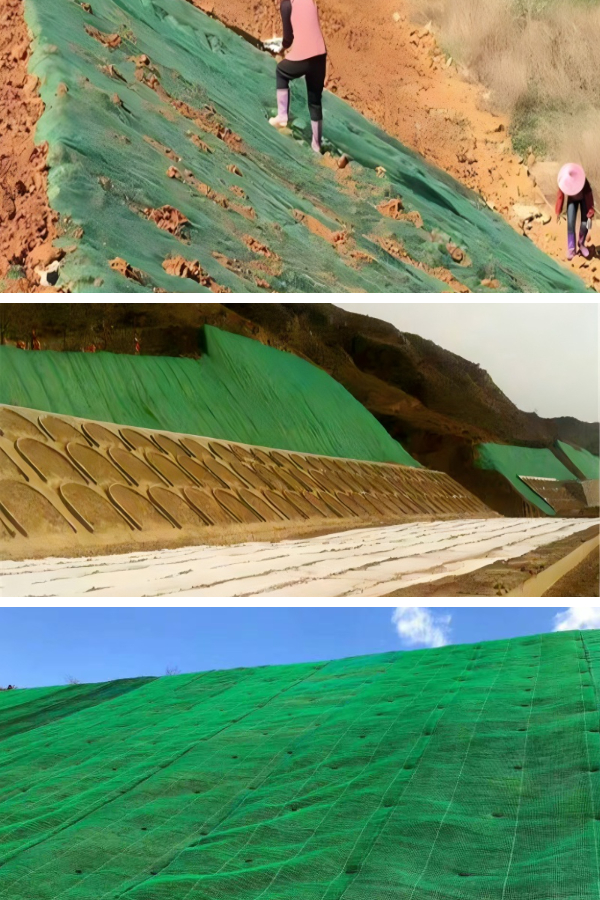  Integrating 3D Vegetation Nets with Other Geosynthetics for Composite Slope Design
