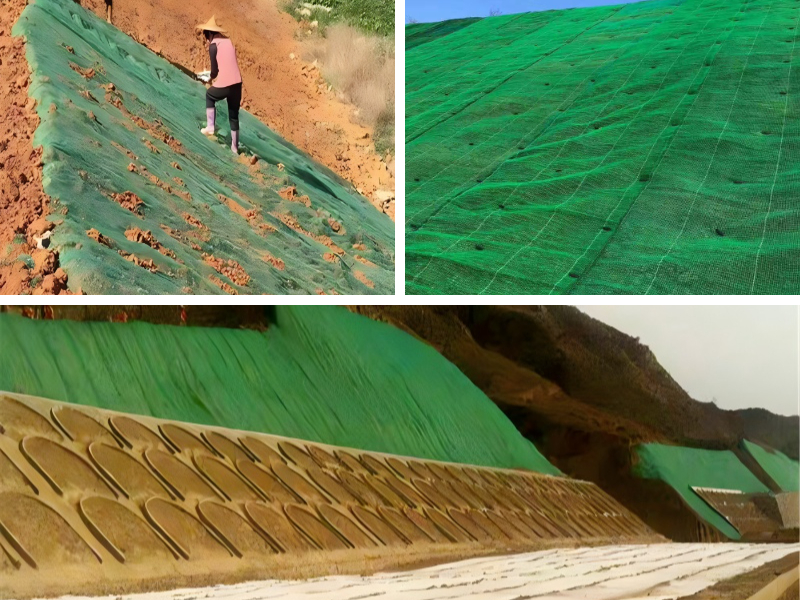 Озеленение придомовых территорий: компактные и экономичные решения для пологих склонов. Озеленение придомовых территорий: компактные и экономичные решения для пологих склонов.