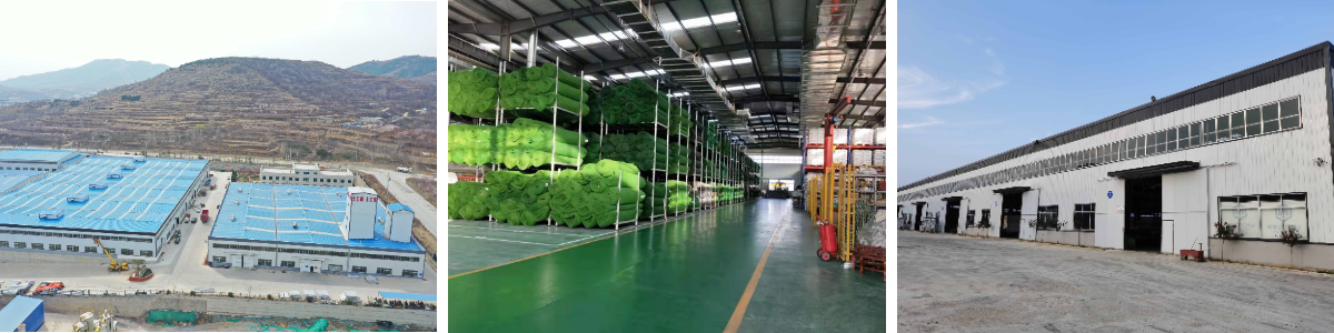 شبكة نباتية ثلاثية الأبعاد