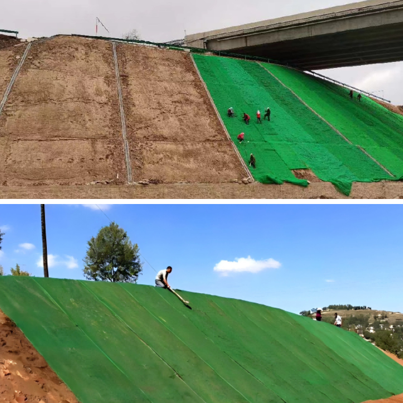 دراسات الحالة: مشاريع الجيومات الناجحة وتأثيرها على كفاءة البناء