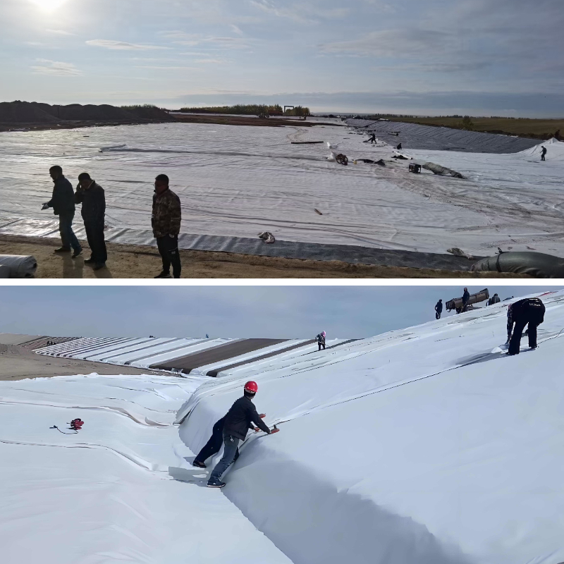 The Role of Composite Geotextiles in Sustainable Green Roof and Wall Systems The Role of Composite Geotextiles in Sustainable Green Roof and Wall Systems