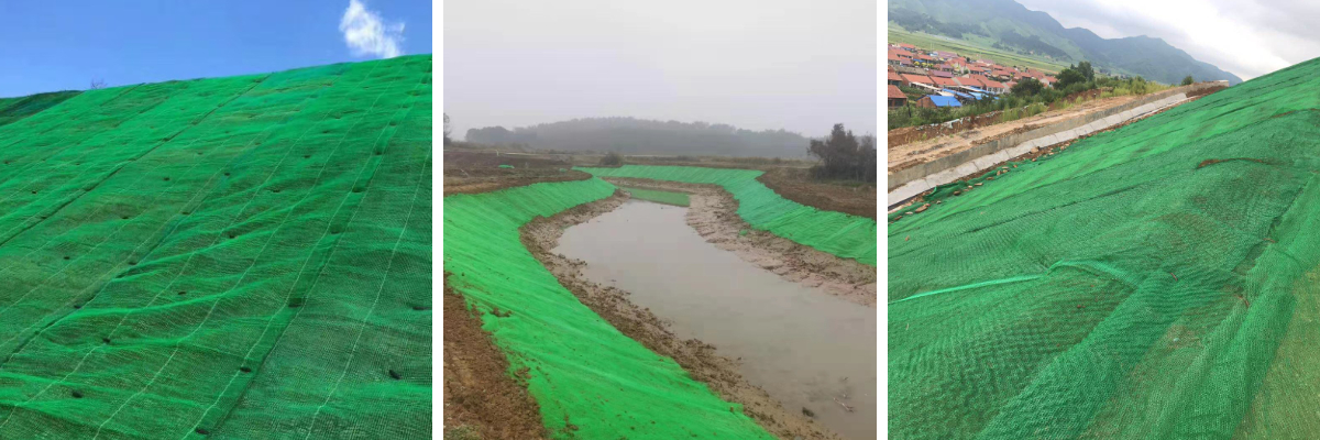 شبكة الغطاء النباتي للبنية التحتية الخضراء