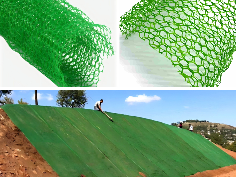 The Green Infrastructure Solution: How 3D Vegetation Nets Support Sustainable Development Goals The Green Infrastructure Solution: How 3D Vegetation Nets Support Sustainable Development Goals