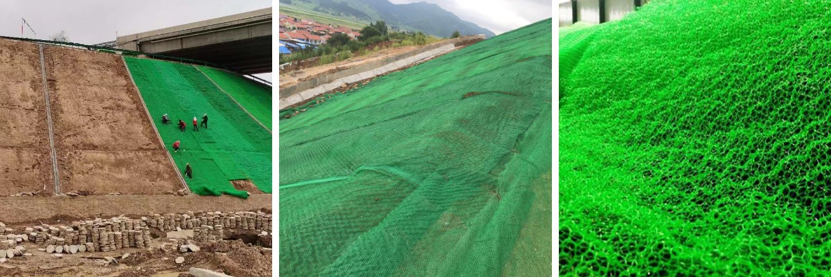 The Green Infrastructure Solution: How 3D Vegetation Nets Support Sustainable Development Goals The Green Infrastructure Solution: How 3D Vegetation Nets Support Sustainable Development Goals