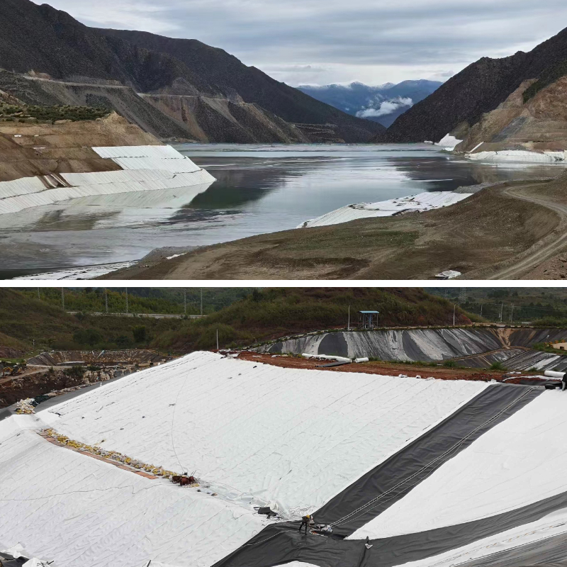 สิ่งทอใต้ท้องทะเล