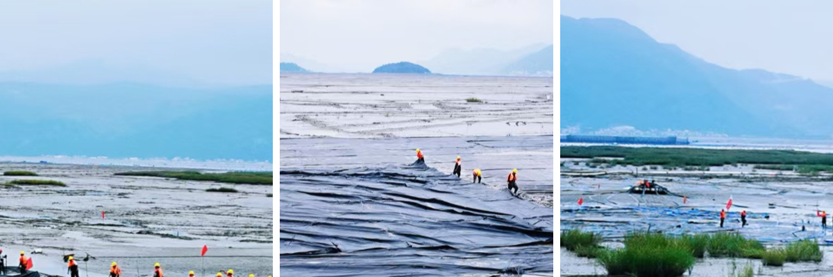 Geotube vs. Traditional Lagoon or Press Dewatering: A Comparative Overview