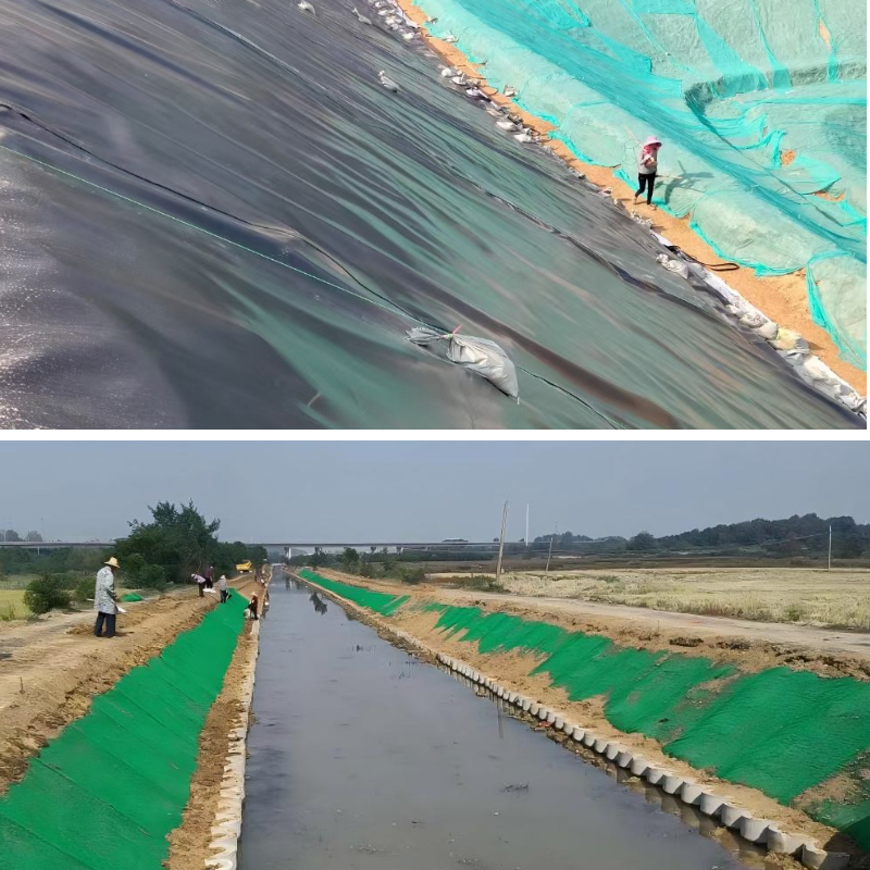 غشاء البولي إيثيلين عالي الكثافة والجيومات: تطبيق تعاوني في المشاريع الهندسية الحديثة غشاء البولي إيثيلين عالي الكثافة والجيومات: تطبيق تعاوني في المشاريع الهندسية الحديثة