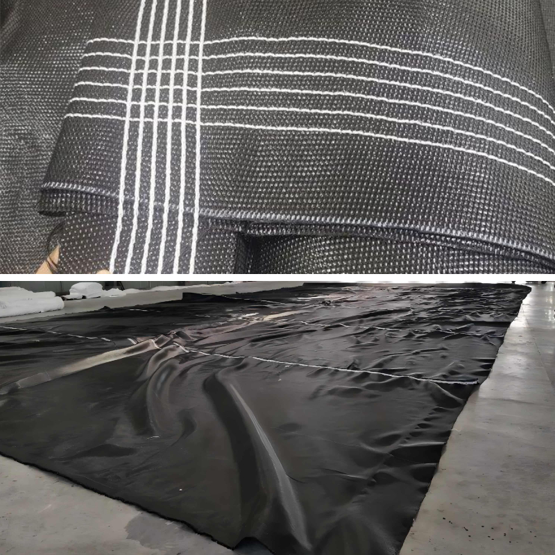 Utilisation des géotubes pour la gestion des résidus miniers et des boues minérales. Utilisation des géotubes pour la gestion des résidus miniers et des boues minérales.