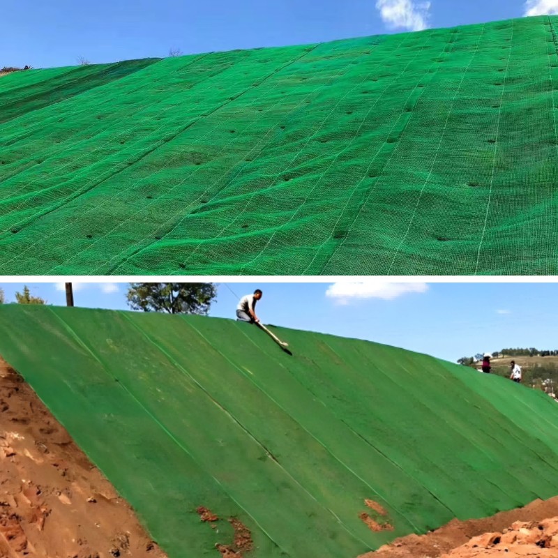 生態系修復プロジェクトにおけるジオマットによる植生成長の促進 生態系修復プロジェクトにおけるジオマットによる植生成長の促進