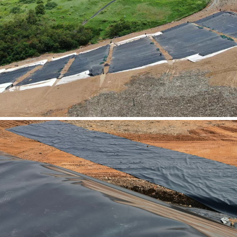 HDPE Geomembrane for Fish Farms: Maintaining Water Quality & Pond Integrity HDPE Geomembrane for Fish Farms: Maintaining Water Quality & Pond Integrity