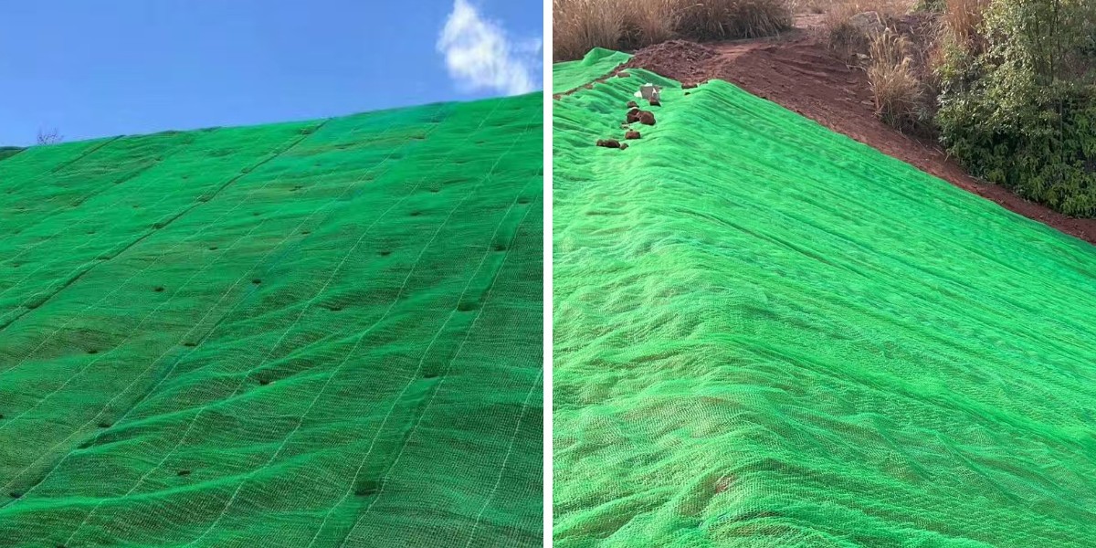 Drenaje de techos verdes y estabilización de raíces con geomanta compuesta Drenaje de techos verdes y estabilización de raíces con geomanta compuesta