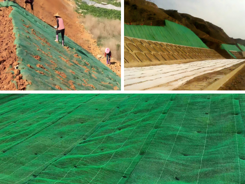 طرق فعالة للسيطرة على تآكل المنحدرات الشديدة: دليل شامل طرق فعالة للسيطرة على تآكل المنحدرات الشديدة: دليل شامل