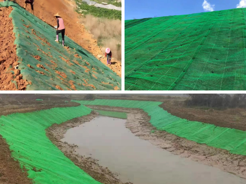 Geomats en ingeniería costera: defensa de las costas contra la erosión de las olas