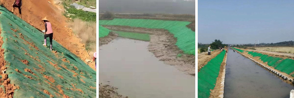 شبكة مكافحة الأنواع الغازية