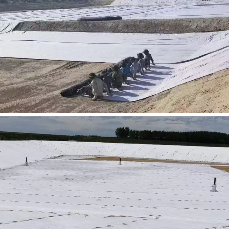 كيفية اختيار مادة القماش الجيوتكستايلي (البولي بروبيلين مقابل البوليستر مقابل الألياف الطبيعية)