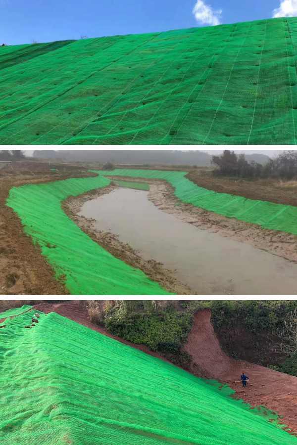 Выходя за рамки традиционных матов: как трехмерные сетки для растительности создают постоянную почвенную матрицу, укрепленную корнями растений.