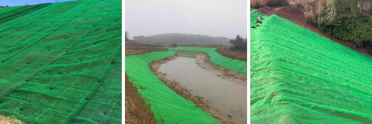 التغطية المائية باستخدام شبكة ثلاثية الأبعاد