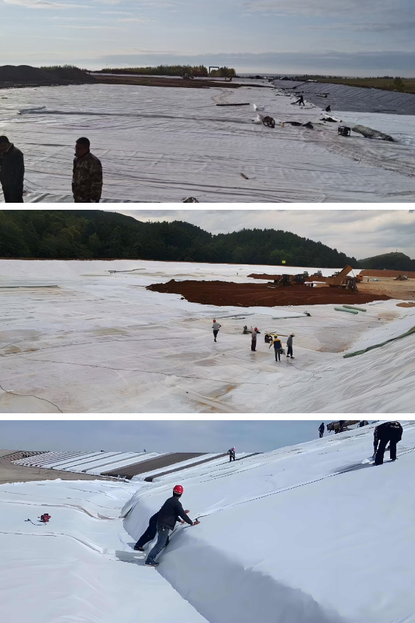 Containment in Wastewater Lagoons: The Durability of Composite Geomembranes in Aggressive Environments