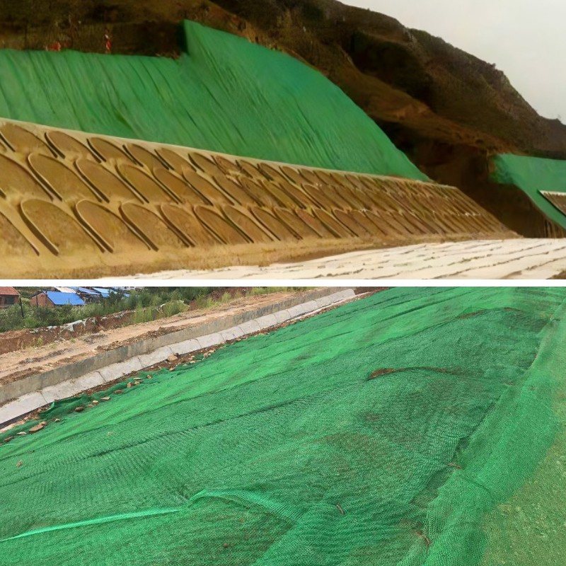 الجيومات والنباتات: إنشاء منحدرات خضراء مستدامة