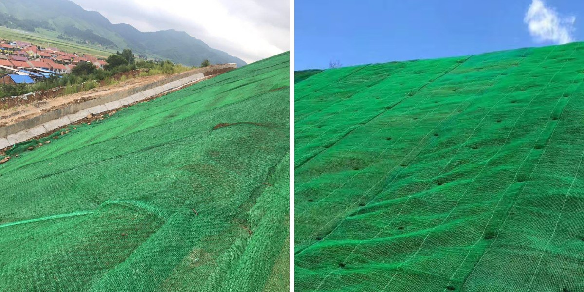 Geomat Combined with Vegetation: How to Lay the Mat for Optimal Plant Growth Geomat Combined with Vegetation: How to Lay the Mat for Optimal Plant Growth