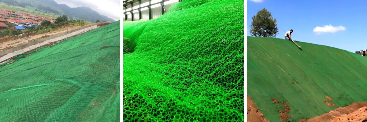 شبكة مكافحة الأنواع الغازية