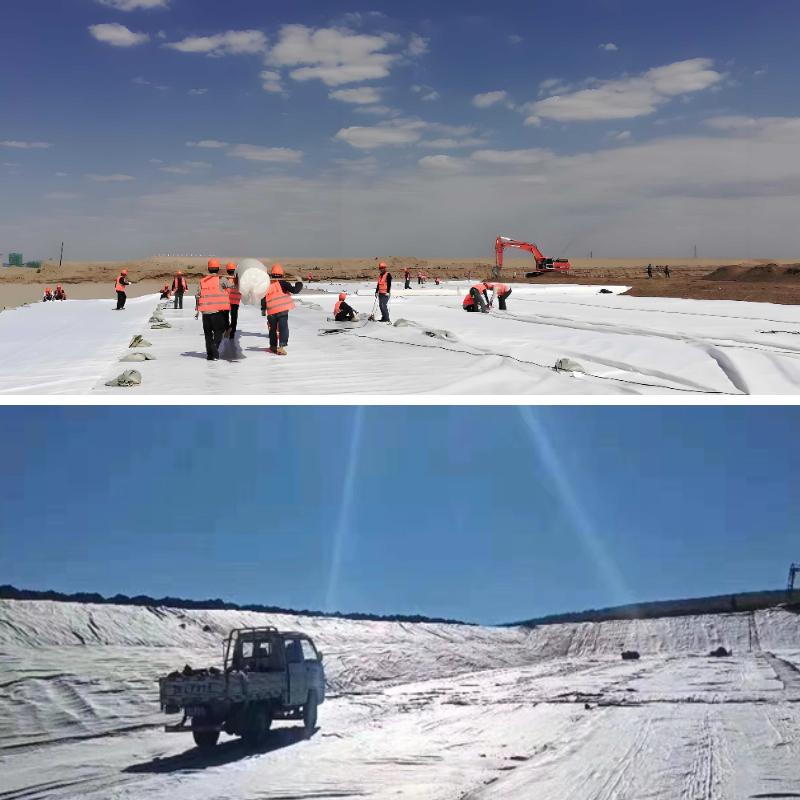 قرص العسل جيوتكستايل