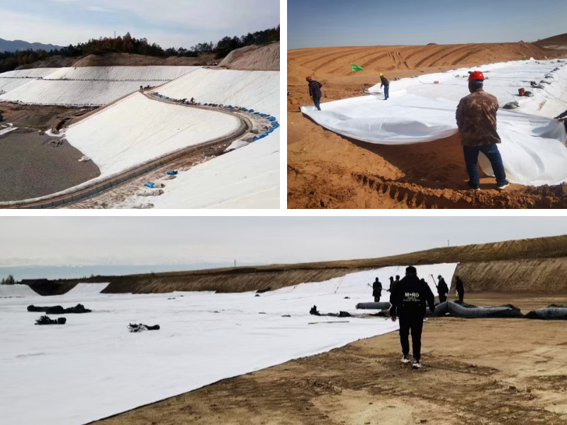 Non Woven Geotextile vs Geomembrane: When to Use Which for Waterproofing and Separation