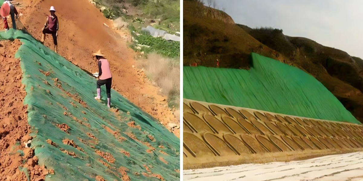 Géomat pour la protection des pentes contre l'érosion : idéal pour la protection des pentes abruptes et la croissance de la végétation