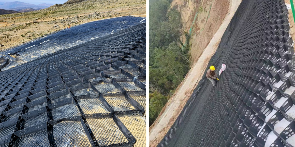 أنظمة الخلايا الجغرافية النباتية: الجمع بين الجماليات والوظيفة أنظمة الخلايا الجغرافية النباتية: الجمع بين الجماليات والوظيفة