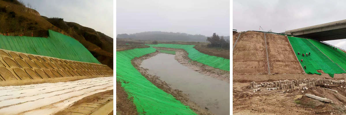 مواد شبكة الغطاء النباتي ثلاثية الأبعاد: بولي بروبلين، بولي إيثيلين تيريفثالات، أم ألياف طبيعية؟ مقارنة تفصيلية للمواصفات مواد شبكة الغطاء النباتي ثلاثية الأبعاد: بولي بروبلين، بولي إيثيلين تيريفثالات، أم ألياف طبيعية؟ مقارنة تفصيلية للمواصفات