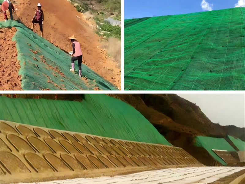 侵食防止プロジェクトに最適なジオマットの選び方：ステップバイステップガイド