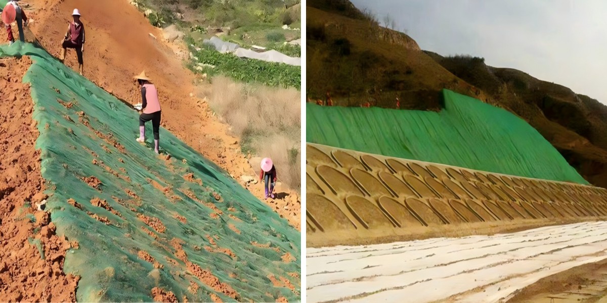 Coastal Dune Reinforcement: Geomat for Wind & Wave Erosion Prevention Coastal Dune Reinforcement: Geomat for Wind & Wave Erosion Prevention