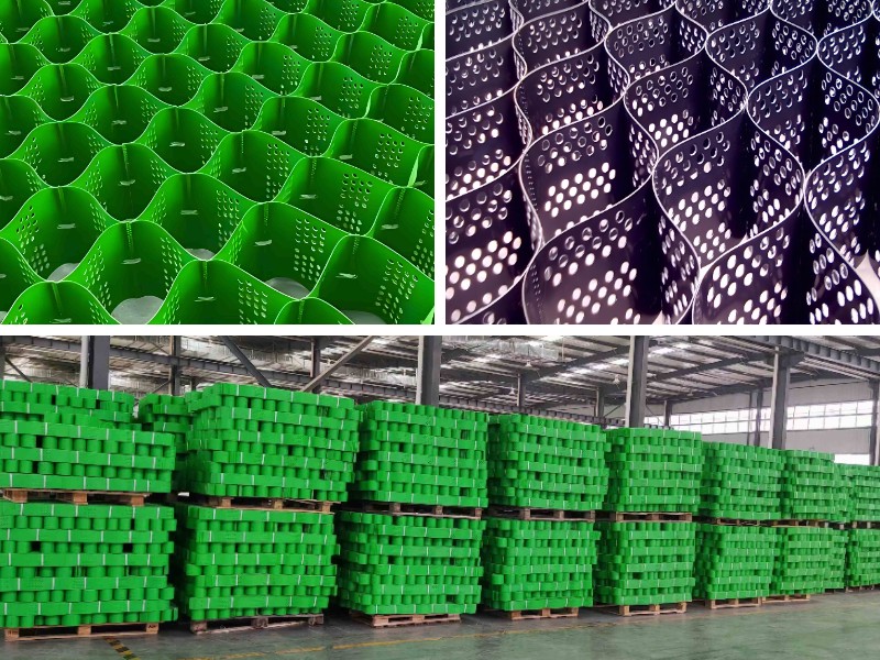 熱帯雨林斜面におけるジオセルの応用：耐湿性と植生との相乗効果