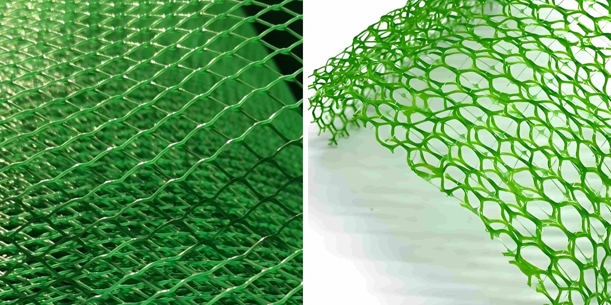 生態系修復プロジェクトにおけるジオマットによる植生成長の促進 生態系修復プロジェクトにおけるジオマットによる植生成長の促進