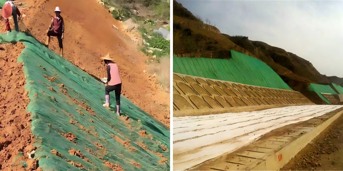 كيفية صيانة جيومات لتحقيق أداء طويل الأمد: نصائح للمقاولين وهواة الأعمال اليدوية