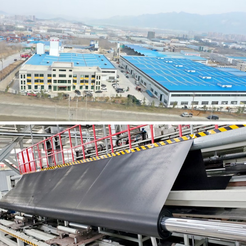 غشاء البولي إيثيلين عالي الكثافة مقابل غشاء البولي إيثيلين منخفض الكثافة الخطي: أيهما أفضل لبطانات البرك؟ غشاء البولي إيثيلين عالي الكثافة مقابل غشاء البولي إيثيلين منخفض الكثافة الخطي: أيهما أفضل لبطانات البرك؟