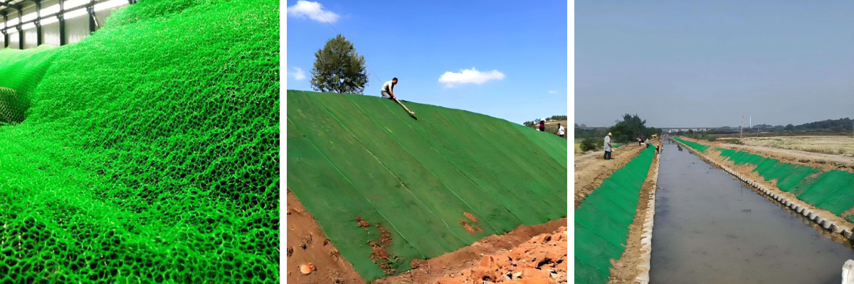 Eco-Friendly Erosion Control: Using Biodegradable 3D Vegetation Nets
