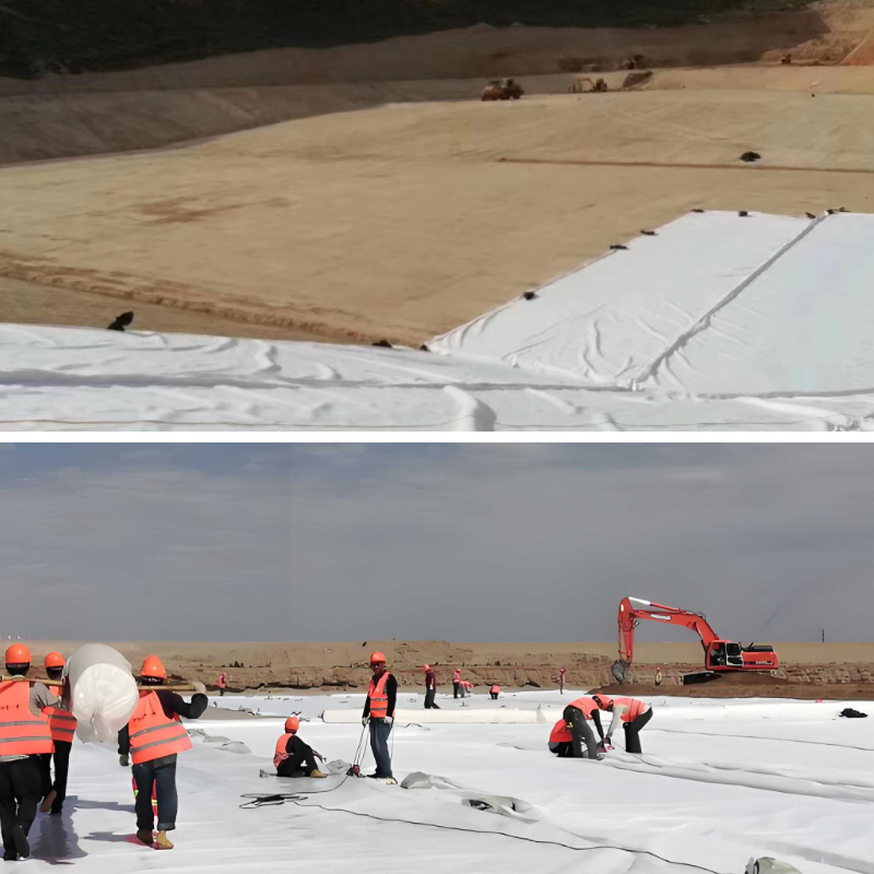 Tissu géo pour allée