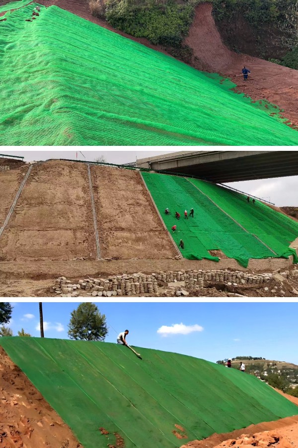 Ilmu di Balik Jaring Vegetasi 3D: Bagaimana Jaring Tersebut Menstabilkan Tanah dan Mendorong Pertumbuhan