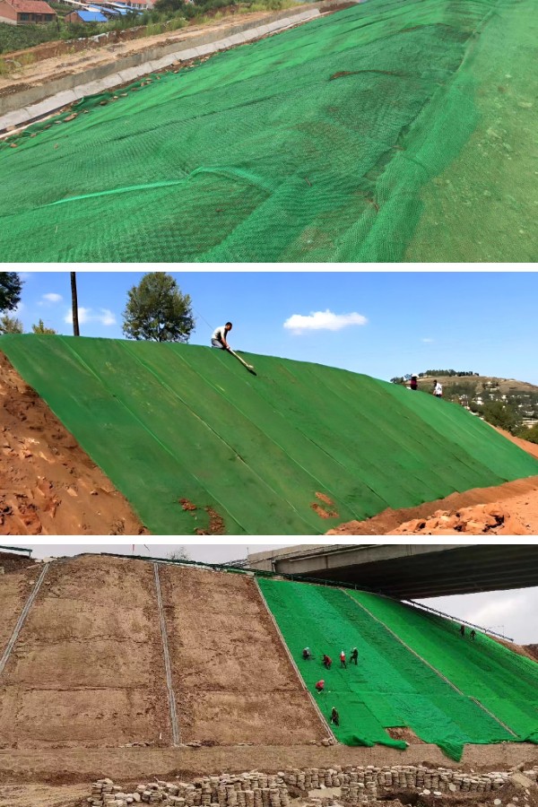 河岸と海岸線の保護:3D植生ネットによる硬質装甲の持続可能な代替手段 河岸と海岸線の保護:3D植生ネットによる硬質装甲の持続可能な代替手段